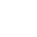 Brake Safety Inspection Badge