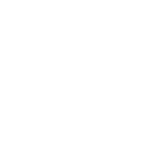 Brakes Icon